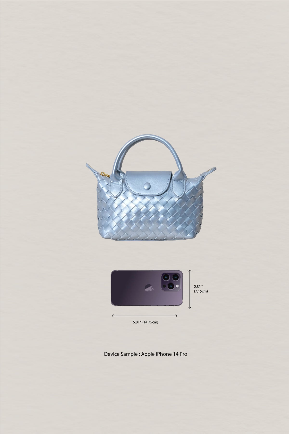 Artisan Véra Mini Carry Bag - Satin Silver