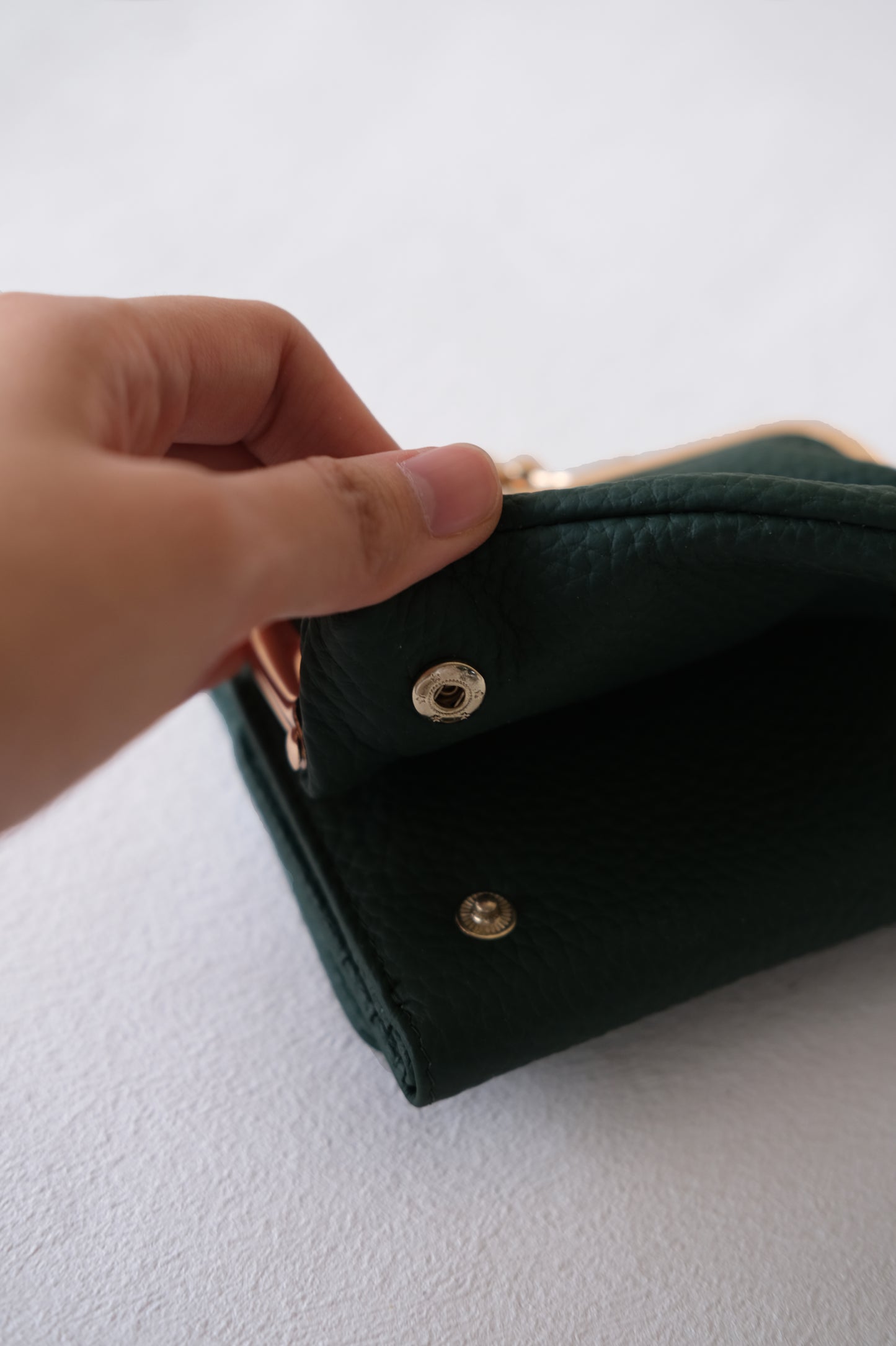 Signature Metal-Clasp Compact Wallet - Green