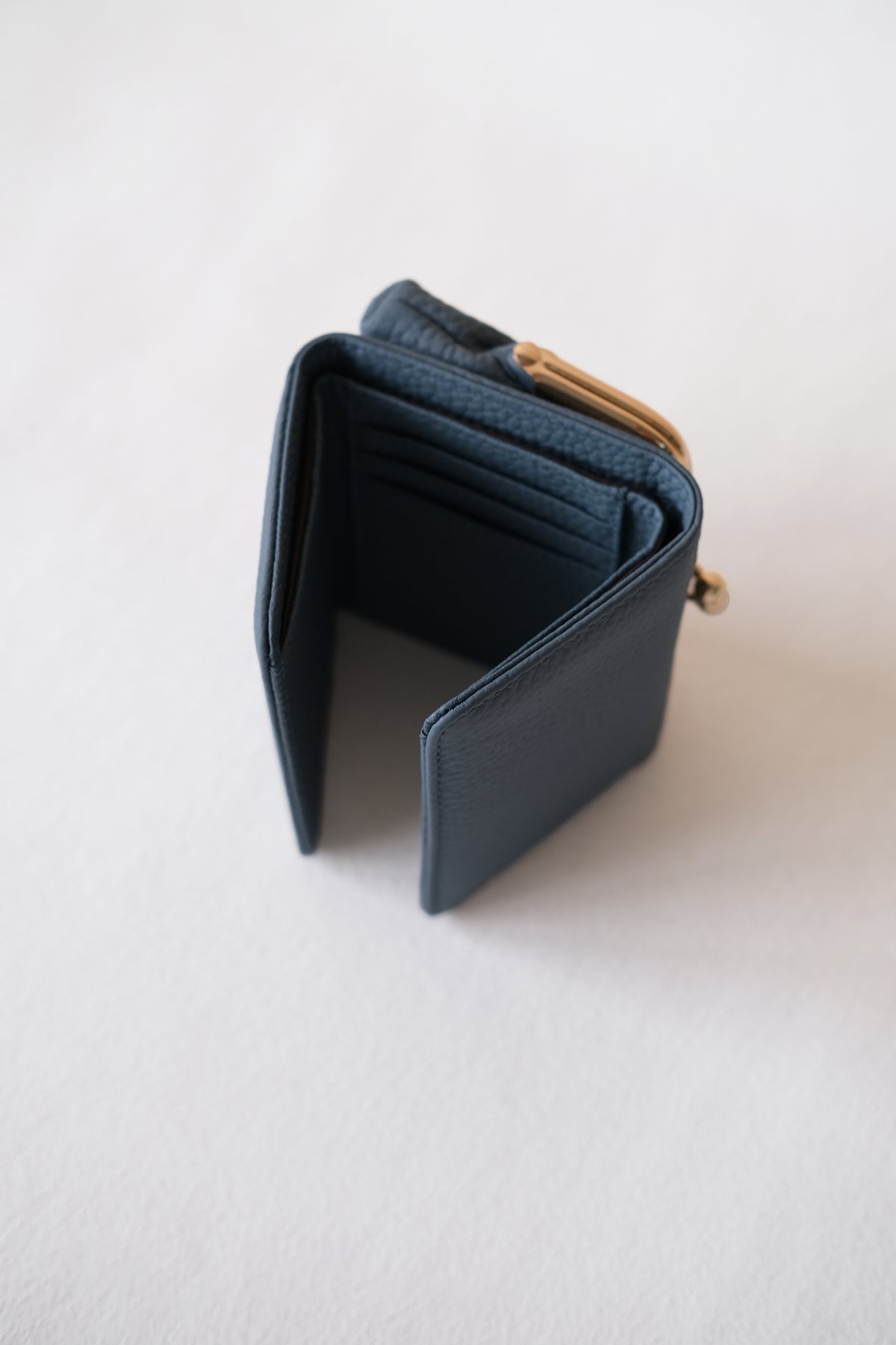 Signature Metal-Clasp Compact Wallet - Blue