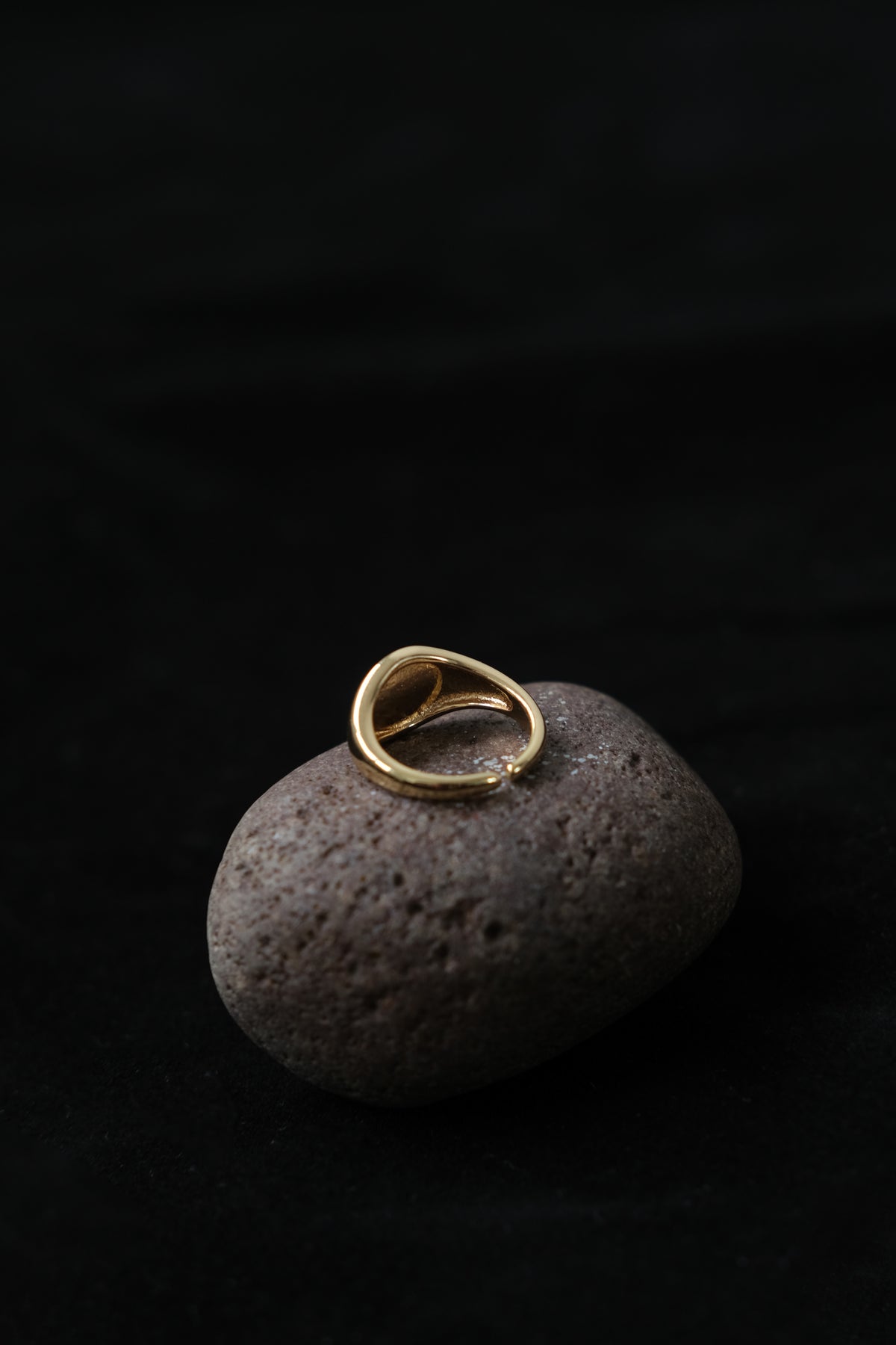 Geometric Circle Ring in Gold Vermeil