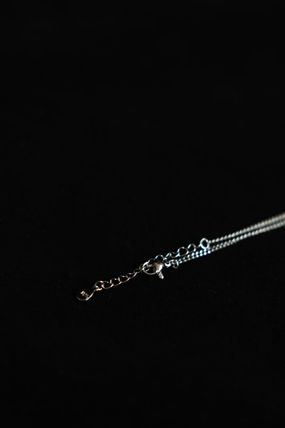 Oval Clavicle Chain Silver