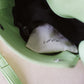 The Hana Box Bag - Light Green