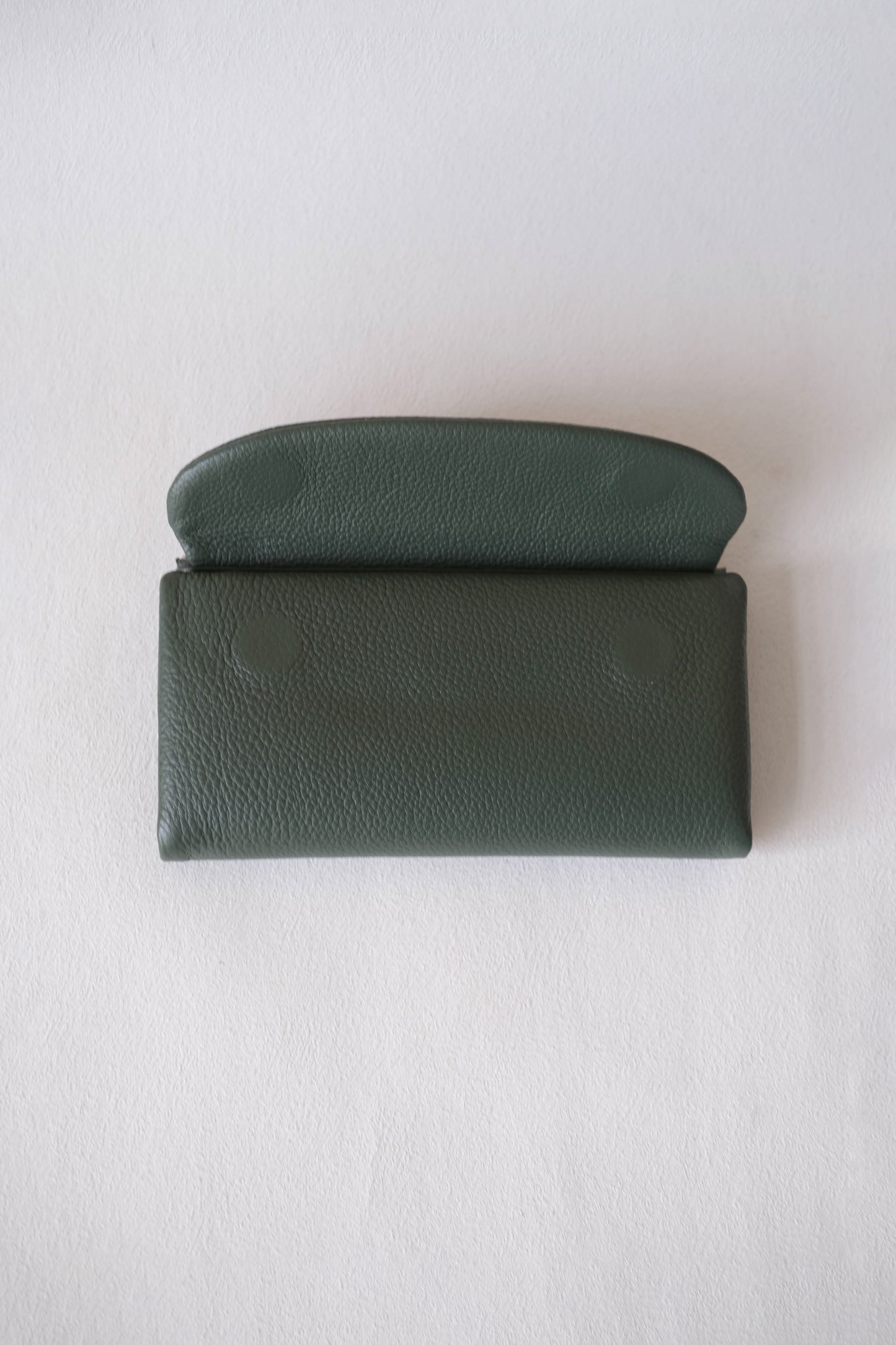 Aurora Classic Long Wallet - Light Green