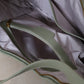 Artisan Classic Moon Bag - Mineral Green