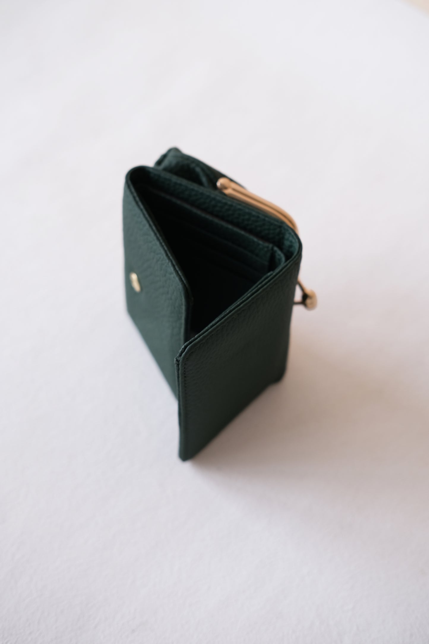 Signature Metal-Clasp Compact Wallet - Green