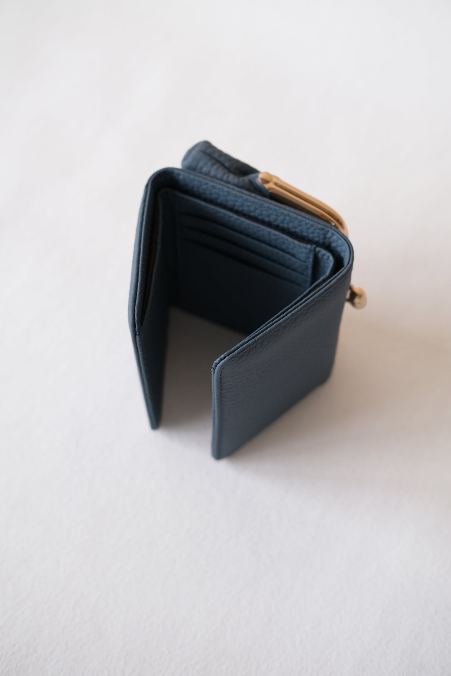 Signature Metal-Clasp Compact Wallet - Blue